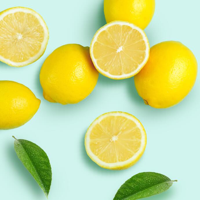 サンプルタイトル1